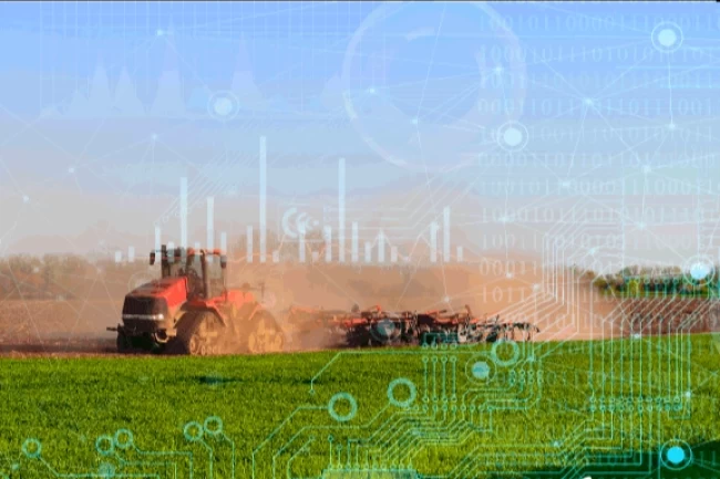 TÜİK 2025 bitkisel üretim verilerini açıkladı... Üretimde genel düşüş yaşandı