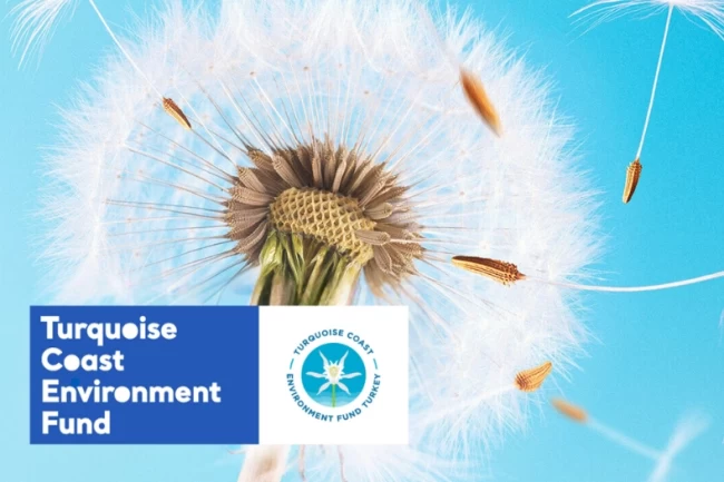 TCEF 2026 Hibe Programı'nda Türkiye'nin güney ve batı kıyılarına destek... Son başvuru 25 Ocak