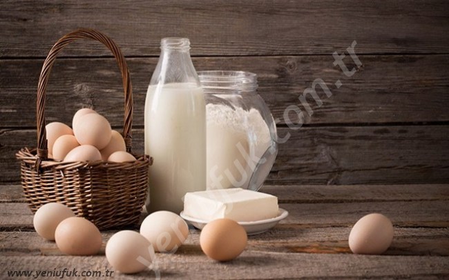 Süt ve yumurta üretimi arttı