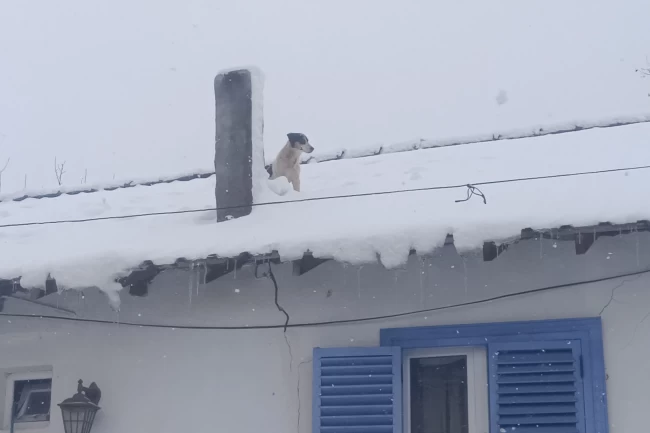 Bilecik Pazaryeri'nde kar altında kurtarma operasyonu