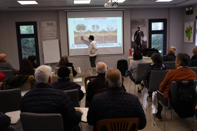 İzmir Efes Selçuk'ta üreticilere zeytin budama eğitimi