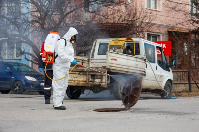Haşerelere karşı etkin mücadele