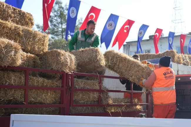 Milas'ta üreticilere yem ve saman desteğine devam
