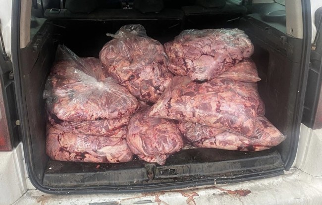 Devrek’te 450 kg bozuk et ele geçirildi