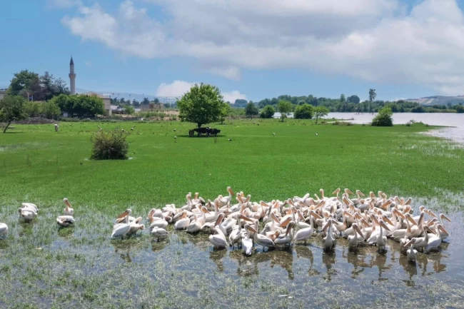 Bursa İnegöl Hamzabey'de doğa ile tarih buluşuyor