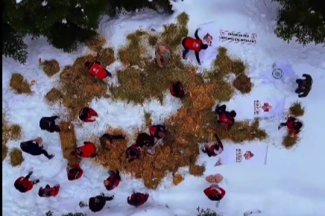 Ilgaz Dağı'na yüzlerce kilo yem bırakıldı