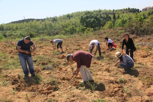 ÇEKÜL'den doğaya 116 bin can! 7 Ağaç Ormanları 2025'te rekor dikime ulaştı