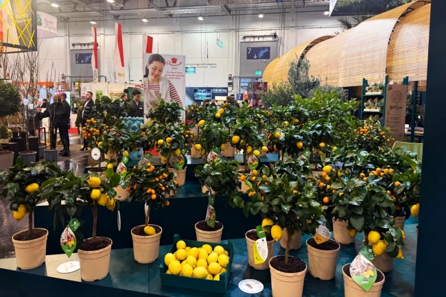 Kestel'in yeşil gücü Almanya'da görücüye çıktı