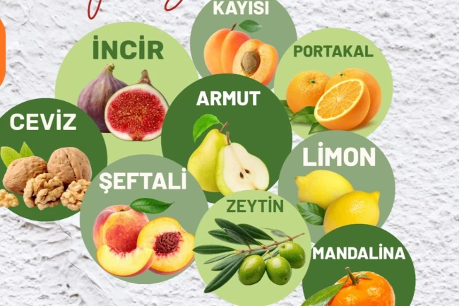 Muğla Milas'ta üreticilere fidan desteği sağlanacak