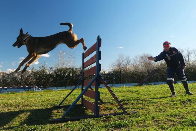 Sakarya'da Reina, Ateş, Google ve Labrador en zor anda ‘umut' olmaya hazır kıta