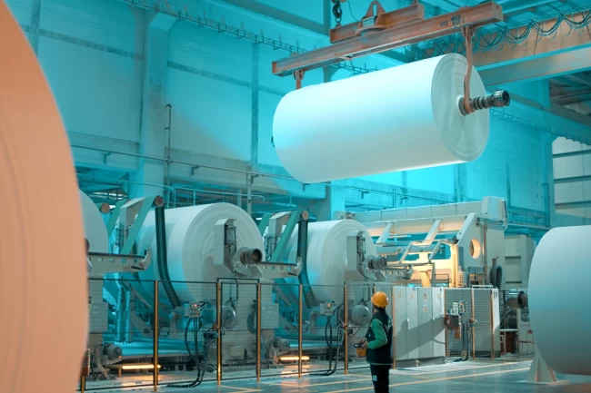 Lila Kağıt, 2025'i güçlü finansal performansla kapattı