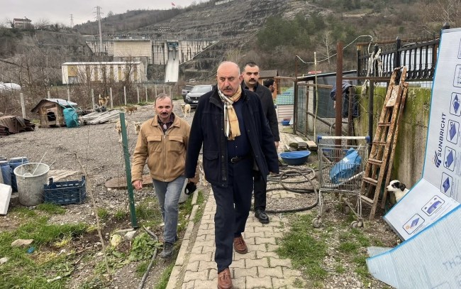 Başkan Öztürk can dostlar için kolları sıvadı