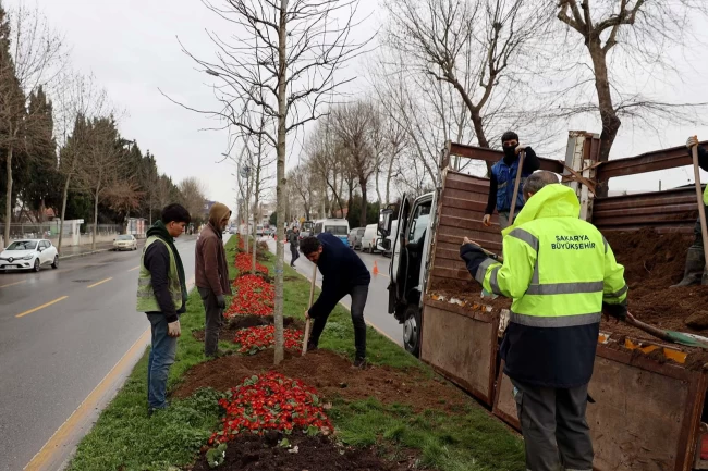 Sakarya'da ‘Yeşil Şehir' vizyonu sahada