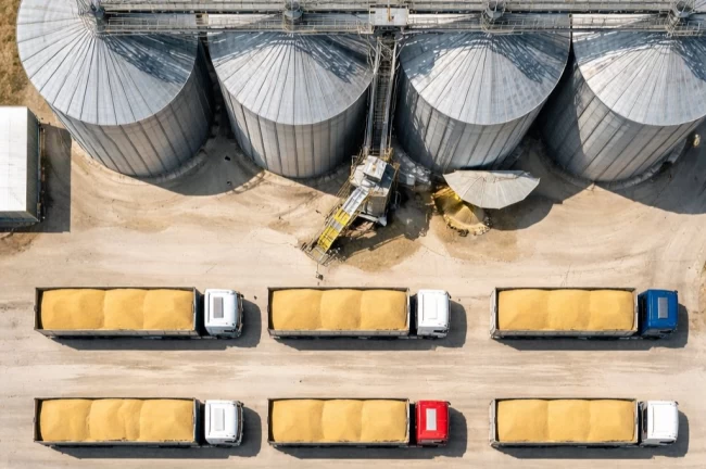 TMO'dan buğday satışı... 1,2 milyon ton stok günlük açık artırmada