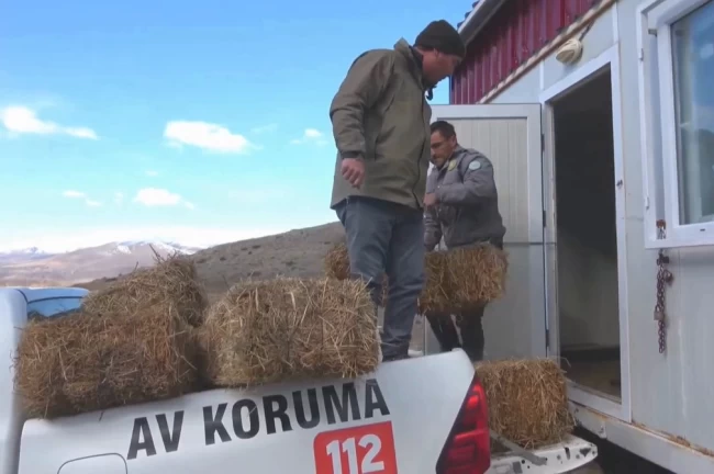 Niğde Demirkazık'ta yaban hayatına kış desteği