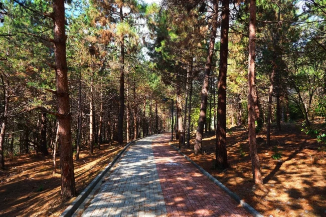 Sakaryalılar baharı ‘Huzur Koridoru'nda koşarak karşılayacak