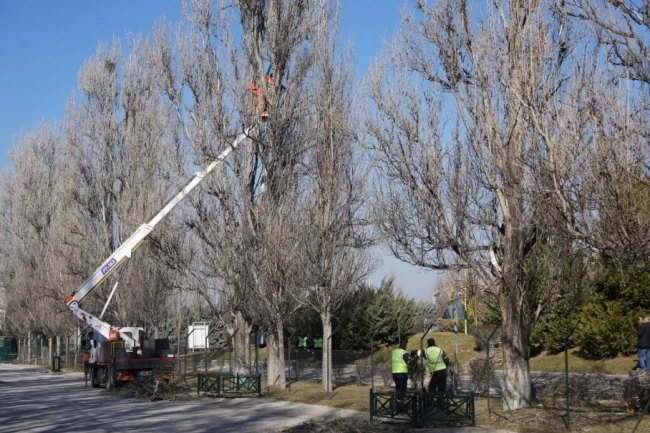Eskişehir Sazova Parkı'nda çalışmalar devam ediyor