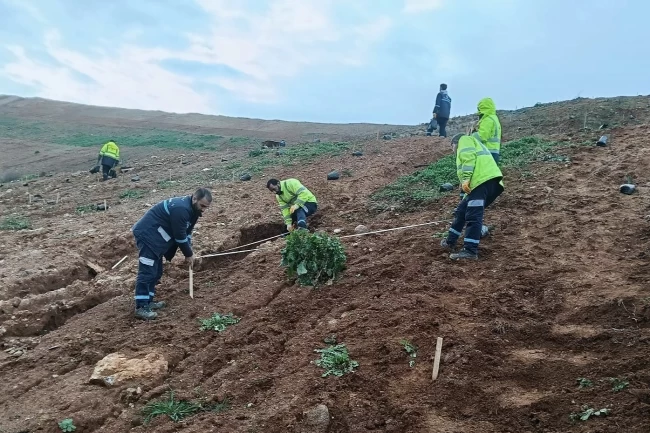 Kocaeli Gebze'de Büyükşehir'le yeşile dokunuş