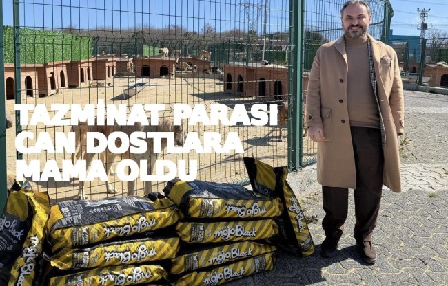 Tazminat parasıyla köpeklere mama aldı
