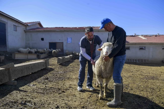Ankara'da kırsaldaki üreticiye can suyu