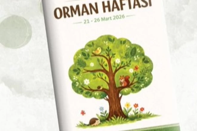 MEB'den "Orman Haftası" için okul öncesi etkinlik takvimi