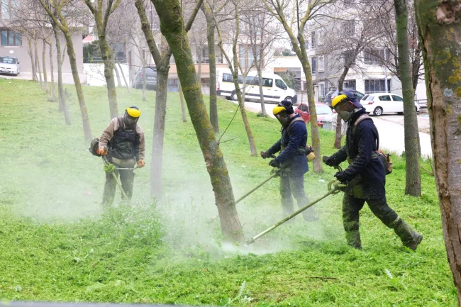 Baharla birlikte Osmangazi'de ot temizliği başladı