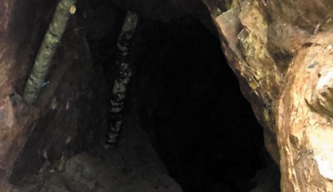 Define'yi bulamadan, yakalandılar..