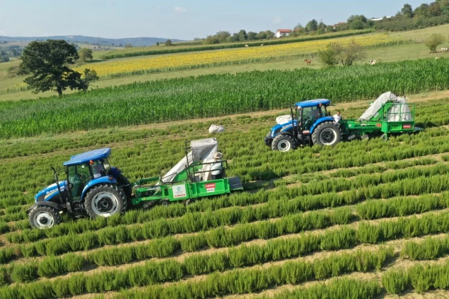 Kocaeli'de kırsal üretimde Büyükşehir'in izi var