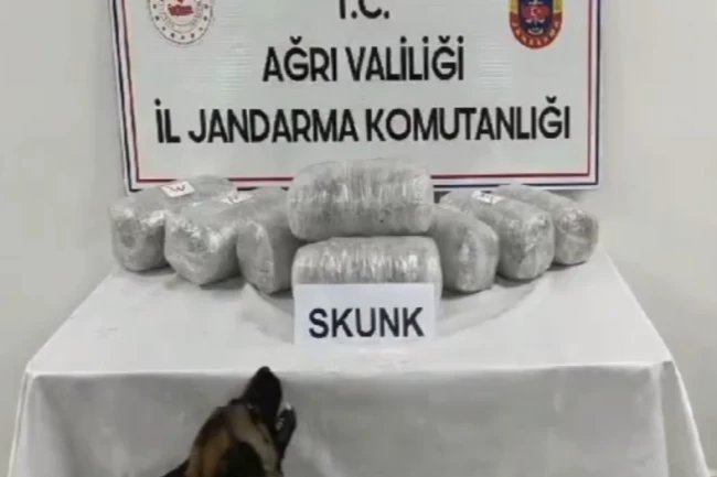 Ağrı'da 10 kilogram skunk ele geçirildi