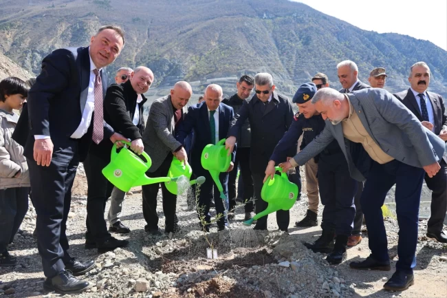 Artvin'de Butko zeytini üretimi yaygınlaşıyor