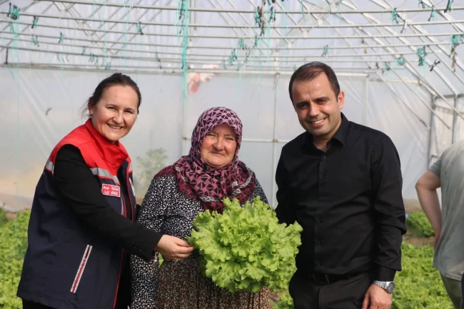 İpsala Esetçe'de 'Meryem Teyze' örneği... Yüzde 75 hibeli serada verimlilik artıyor