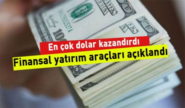 Aylık en yüksek reel getiri Amerikan Doları'nda oldu