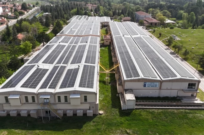 854 ton karbon salınımı önlenerek 34 bin ağaç korundu