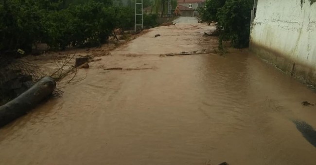 Son Dakika.. Alaplı Sarıkadı köyünü sel bastı!..