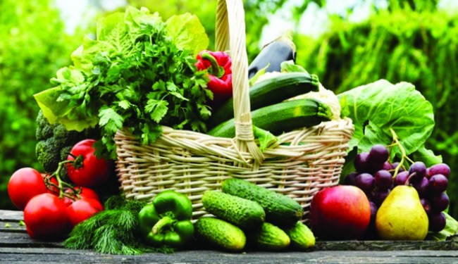 İllere göre bitkisel üretim istatistikleri açıklandı..