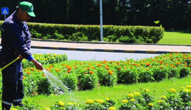 350 bin çiçek fidesi Ereğli'yi süsledi !