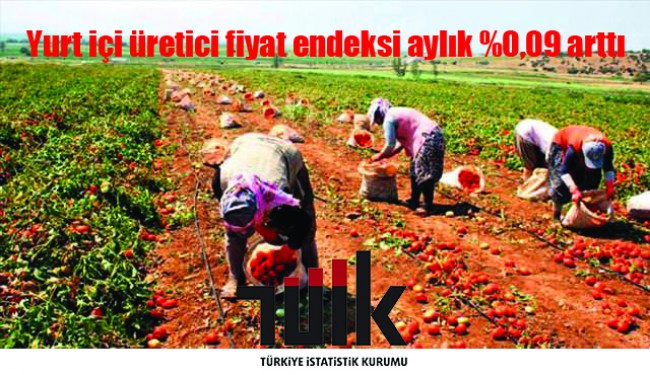 Yurt içi üretici fiyat endeksi aylık %0,09 arttı