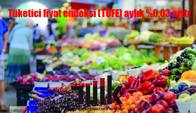 Tüketici fiyat endeksi (TÜFE) aylık %0,03 arttı