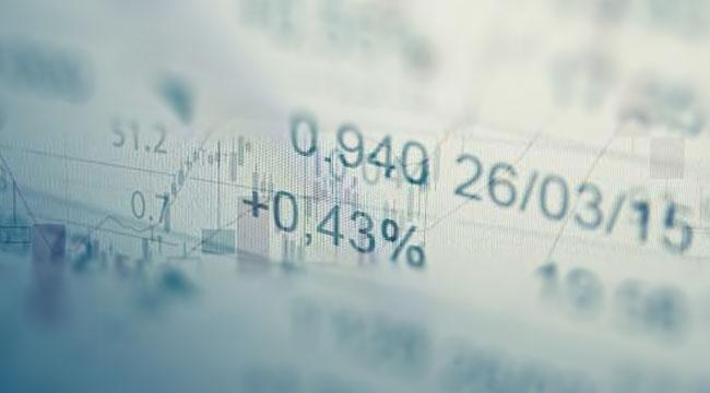 Aylık en yüksek reel getiri Devlet İç Borçlanma Senetleri (DİBS)'de oldu