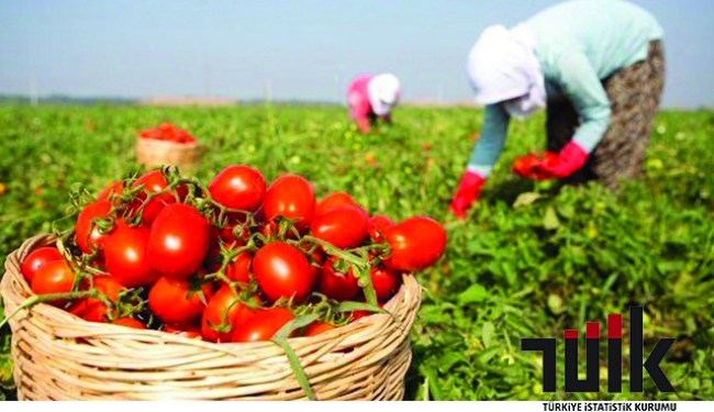 İllere göre Bitkisel Üretim İstatistikleri