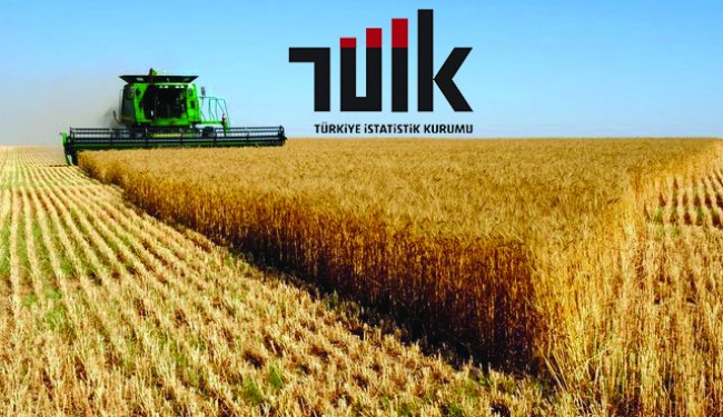 Ülkemizde Tarım-ÜFE Haziran ayında %2,97 azaldı
