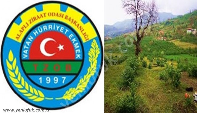 “Fındık üreticisi desteklenmeli”