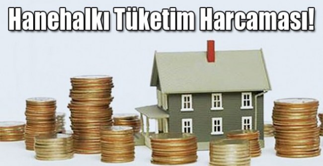 Bütcemizden en fazla payı konut ve kira harcamasına ayırıyoruz !