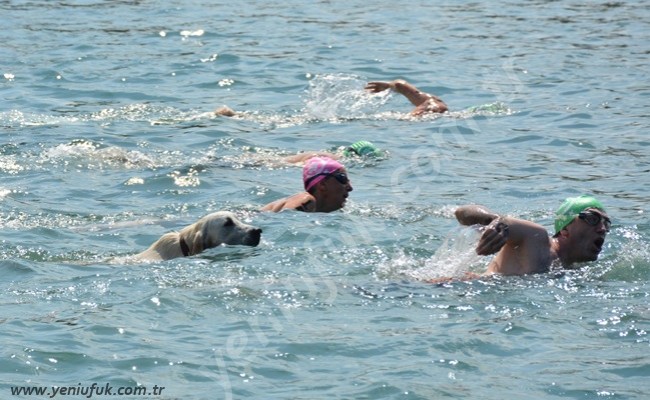 Yüzücülerle birlikte suya atladı!
