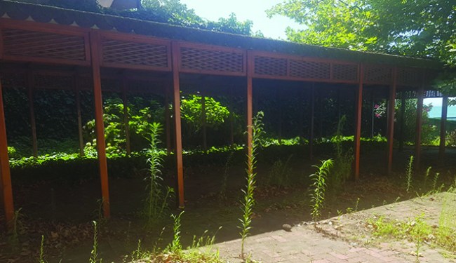 Kdz.Ereğli Belediyesi CHP'li Meclis üyelerin'den "Erdemir plajı" tepkisi