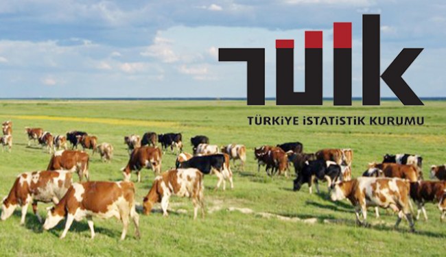 Türkiye ve illere göre hayvansal üretim istatistikleri, 2018