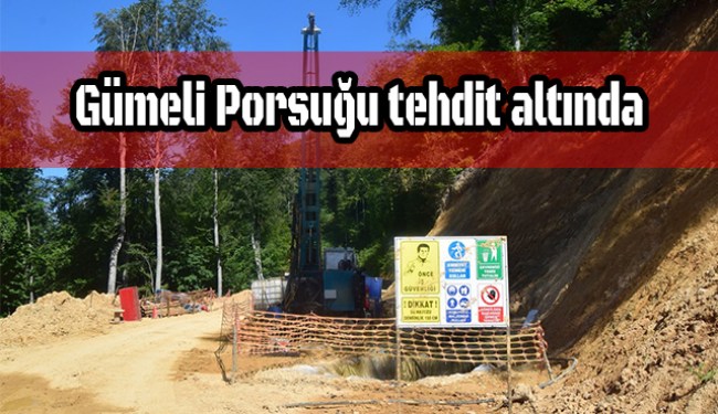 Gümeli Porsuğu tehdit altında