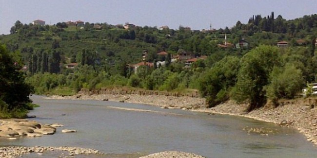 Alaplı talan ediliyor!.. Yetkililer susuyor!..