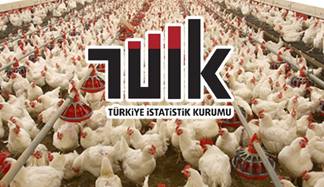 Tüik: Tavuk yumurtası üretimi 1,6 milyar adet olarak gerçekleşti