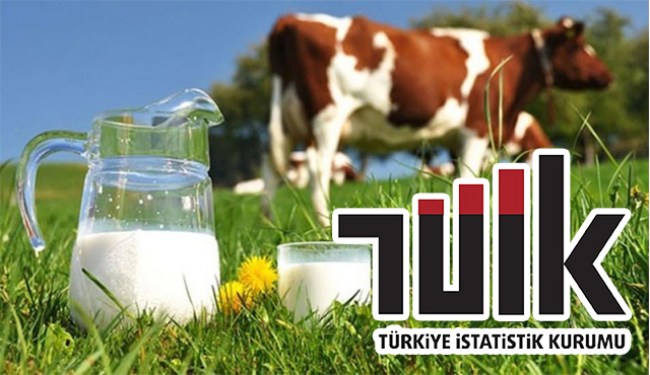 Temmuz ayında 797 bin 964 ton inek sütü toplandı